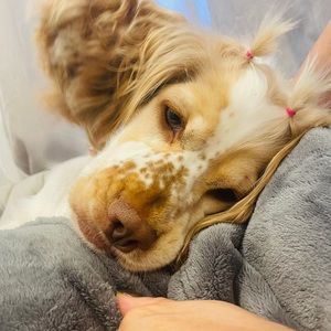 Meet your Posher, Marcela